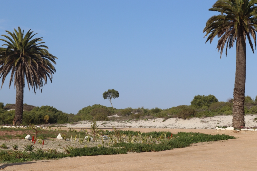 0 Bedroom Property for Sale in Da Gama Bay Western Cape
